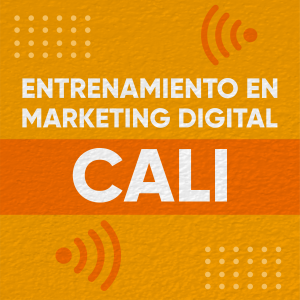 Entrenamiento en Marketing Digital Cali